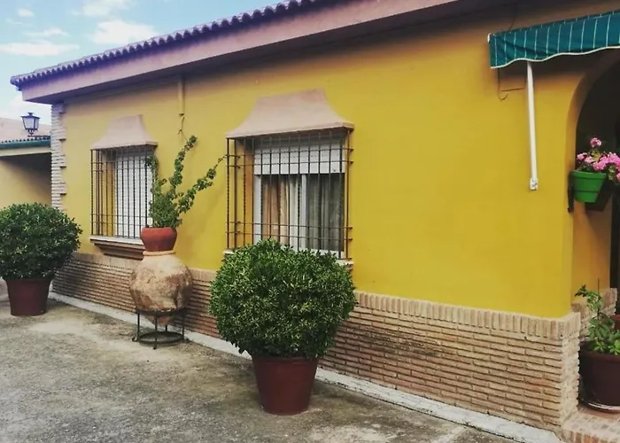 Dama Rural