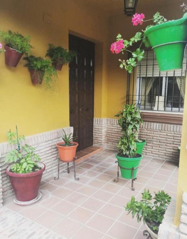 Dama Rural Holiday home *