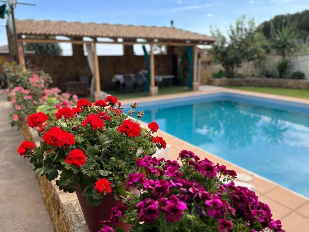 Holiday home Dama Rural